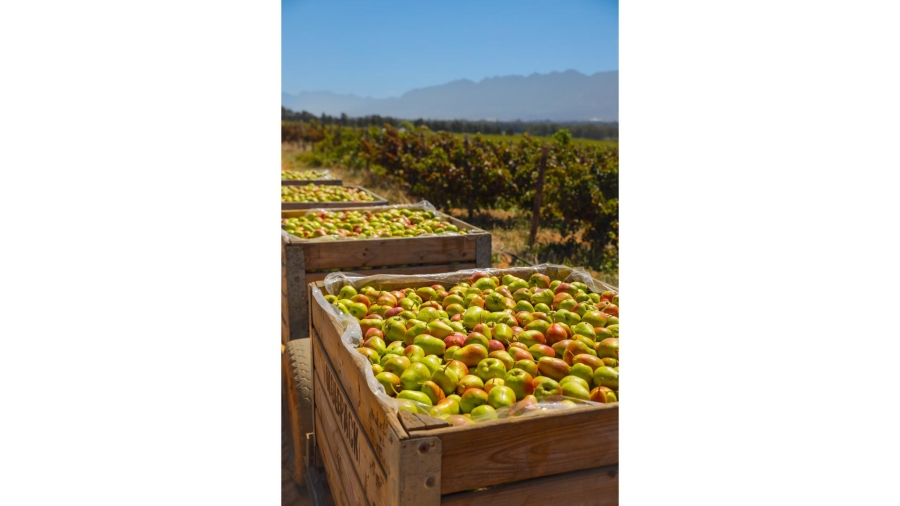 Commercial Property for Sale in Wolseley Western Cape